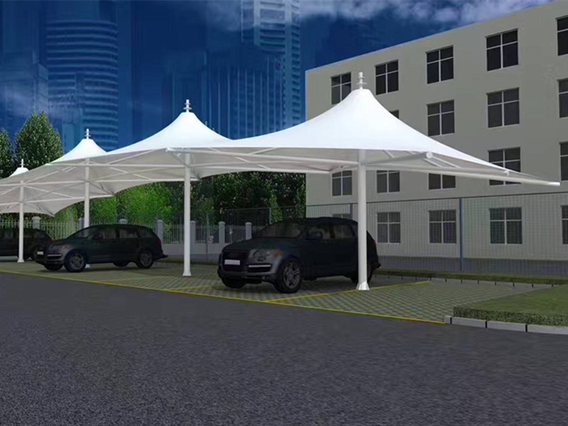 https://www.bdir.com/images/news/Umbrella-Type-Tensile-Car-Parking-Shades-Structure-1.jpg
