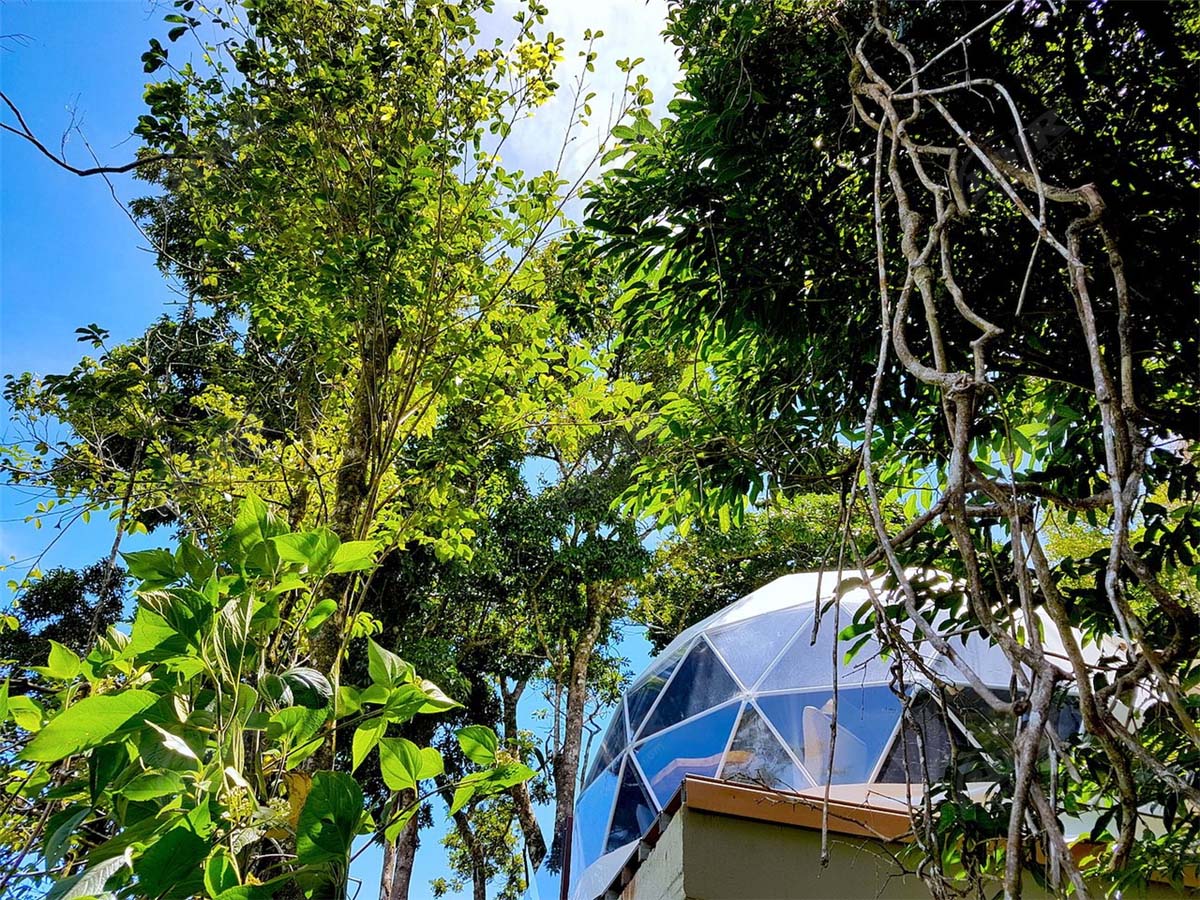 Monteverde Glamping Experiencia Única con 6 Vainas de Carpas Domo Geodésicas