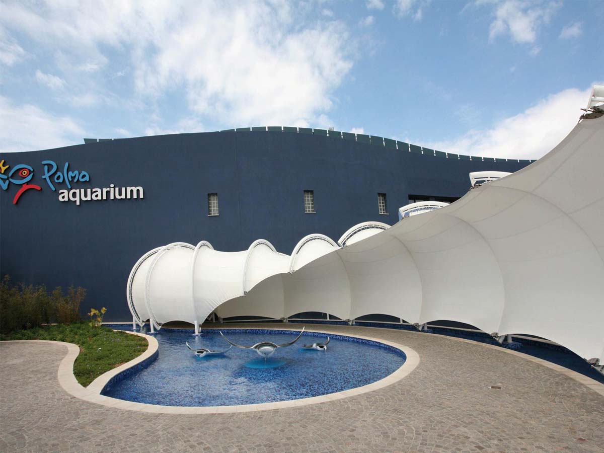 PVC PVDF PTFE Tensile Structures for Aquarium, Science Museum, Seaquarium