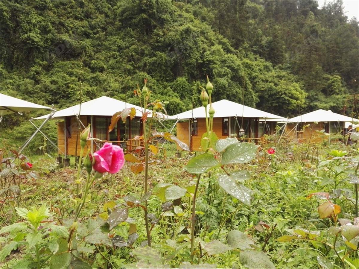 Design Luxury Tent Camping Resorts, Glamping Tented Cabins Supplier - Chongqing, China